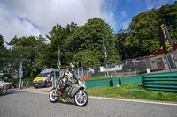 Middle Group Silver_Grey Bikes